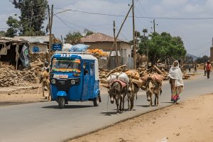 Blue tuk-tuk and donkeys on rural road.